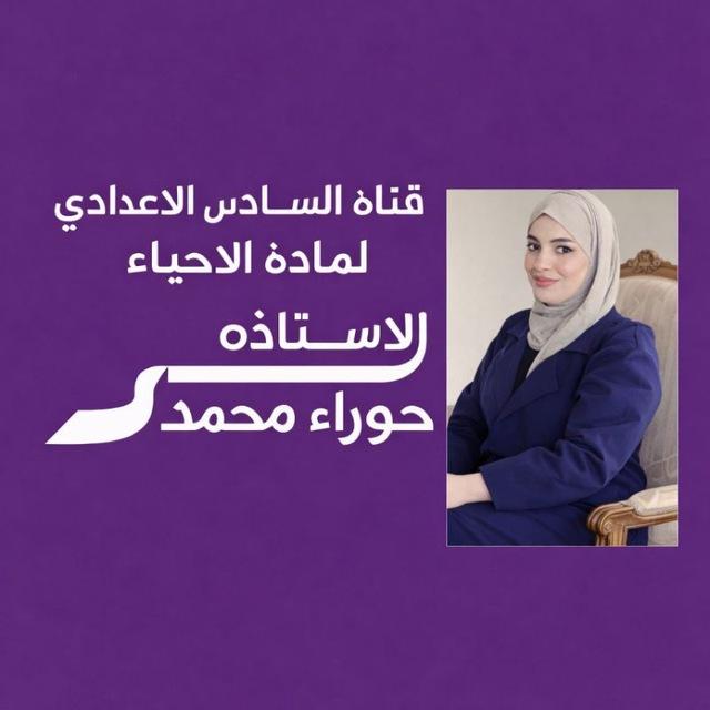 الست حوراء محمد