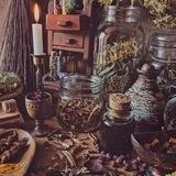 Herbolaria y Plantas Medicinales