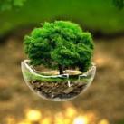 Nature & Landscape World
