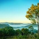 ရှမ်းပြည်နယ်သတင်းစုံ