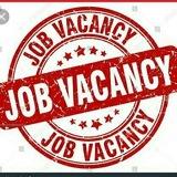 Ethio Job Vacancy ®️