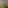 موعود قاسم الرشیدي
