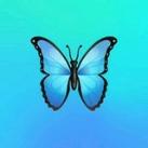 All online work with Tanzeeb