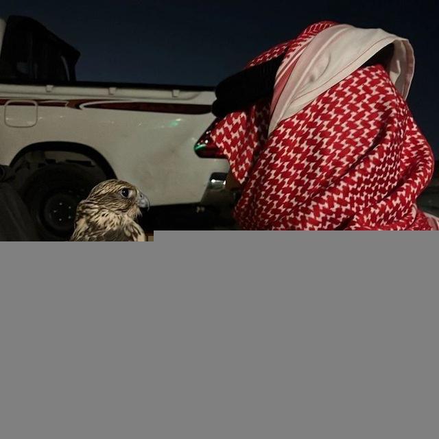 ياسعود ي سعود