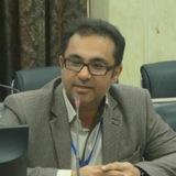 امیر حسینی کلورزی