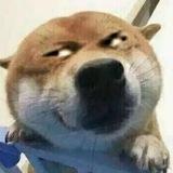 资源预览成套精选