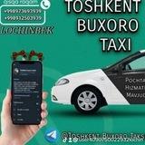 TOSHKENT BUXORO SHOFIRKON TAKSI