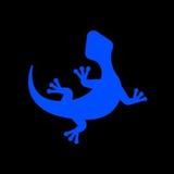 Lizard Program