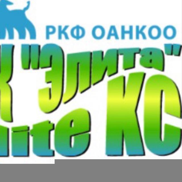 СПб РОО «КК «Элита»