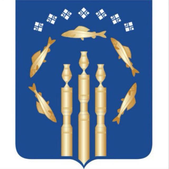 Нерюнгринский районный Совет депутатов