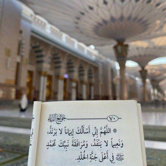 ✾ عَلى خُطى السَّلف الصَّالح ✾