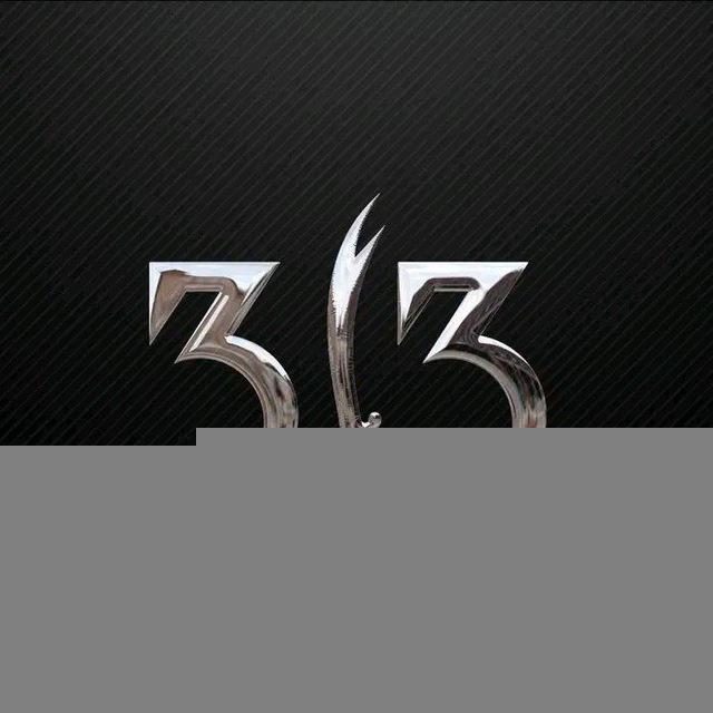 313