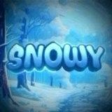 Snowy Market [NEW]