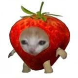 Фоны и мемы для Тик Тока