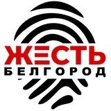 Жесть Белгород