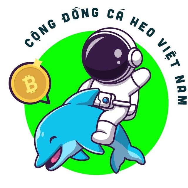 🐬 Channel Future | Cá Heo Việt Nam