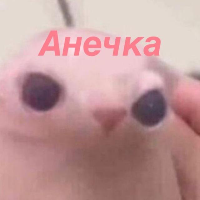 фильча