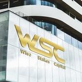 Wise Stakes Capital
