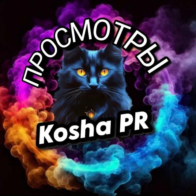 KoshaPr Просмотры 👀
