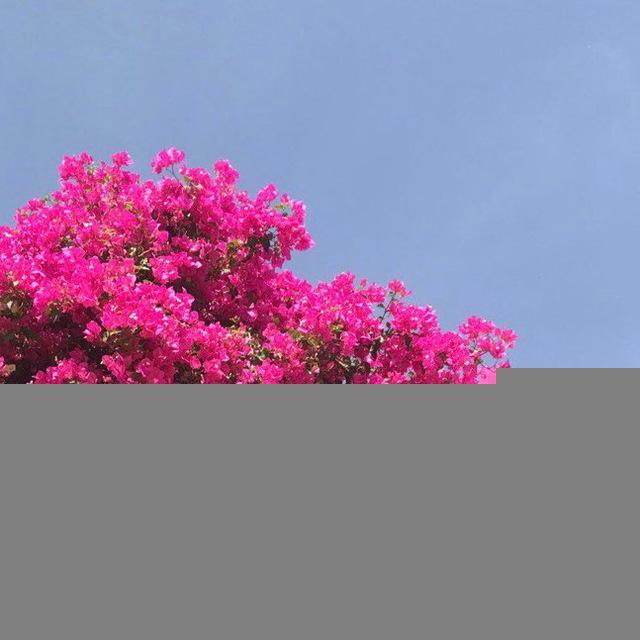 🌸ذِكْرَىٰ لِلذَّاكِرِينْ🌸