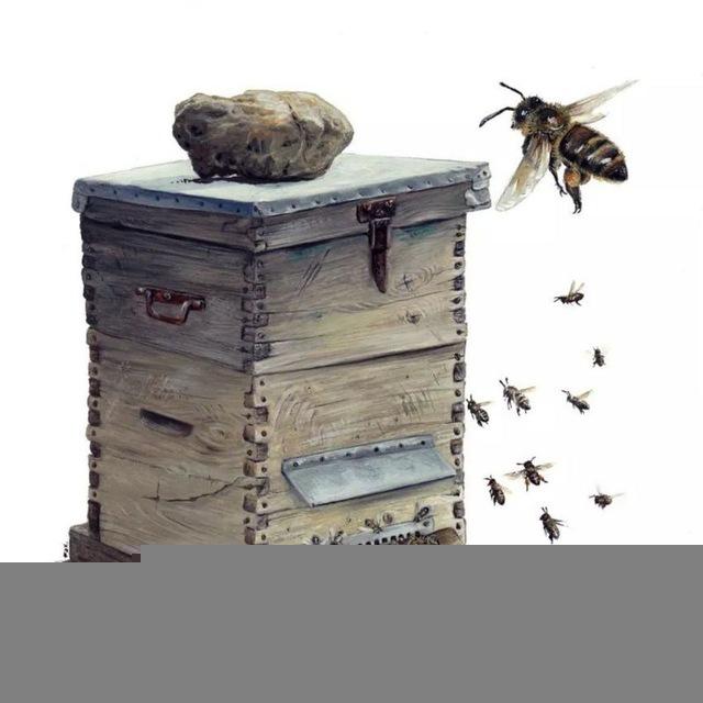 Arıcılık Notlarım🍯