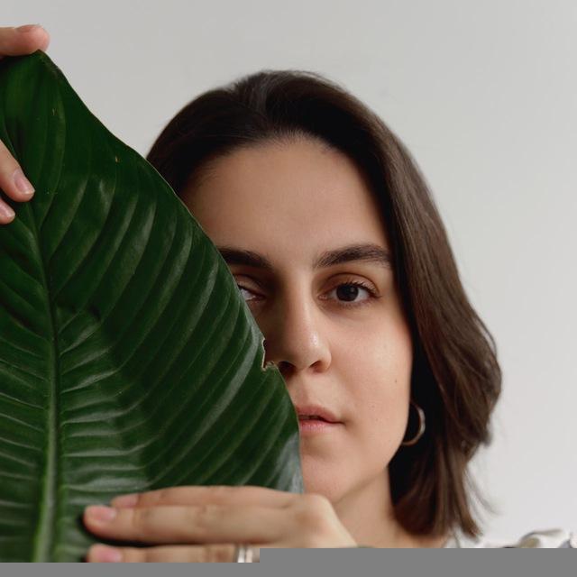 Комнатные растения | masha.plants
