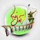 آمل زیبا