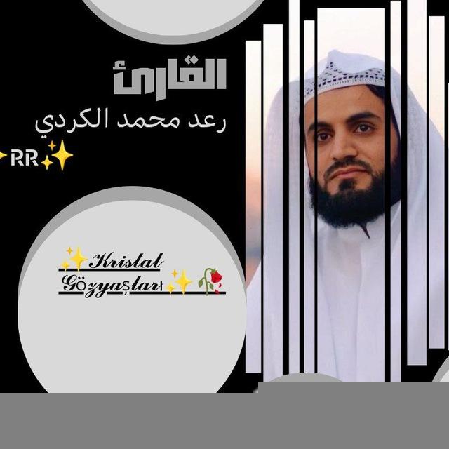 القارئ رعد محمد الكردي ✨RR✨