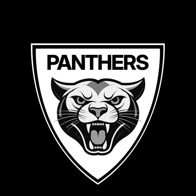 FC «Panthers»