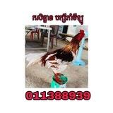 កសិដ្ឋាន​ បក្សីកាំមីឡូ