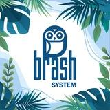 BRASH SYSTEM 🦉