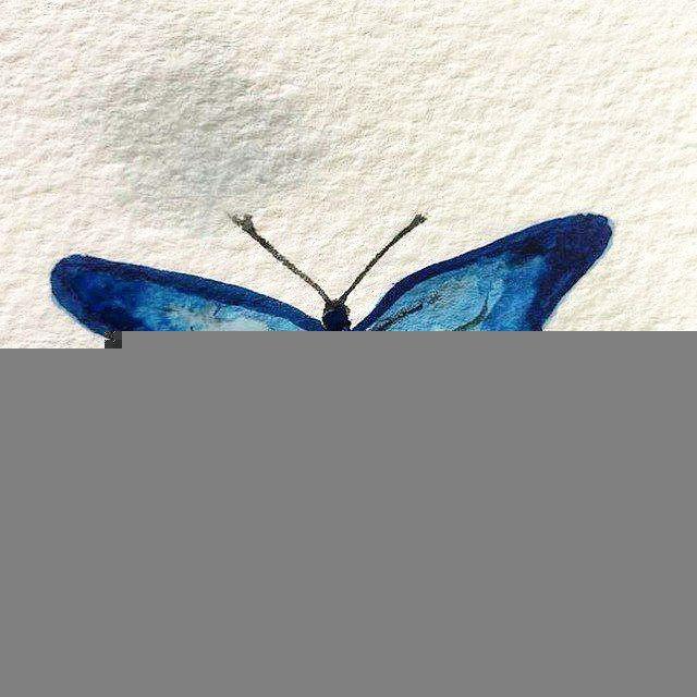 ميـنرڤـا 🦋.