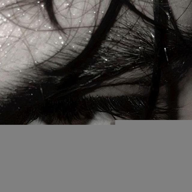 𝐈𝐒𝐓𝐏 🕸️