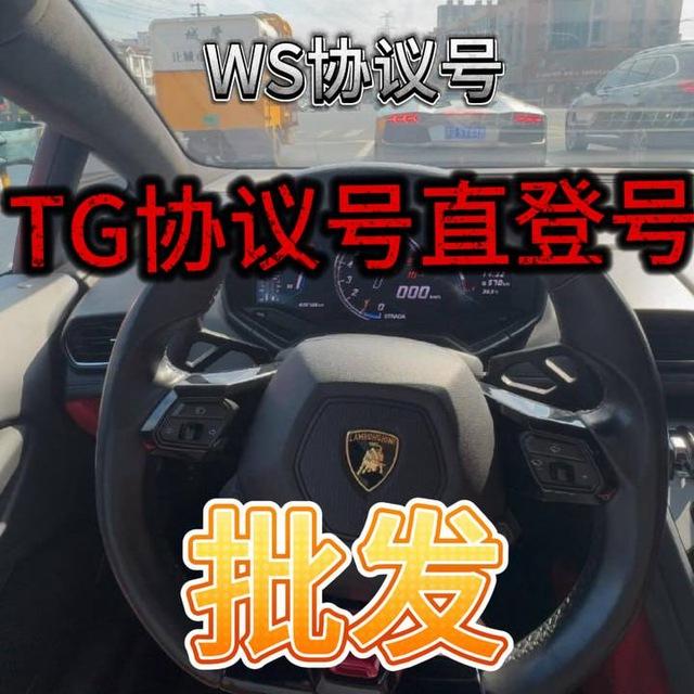全球飞机协议号直登号WS协议号 批发