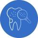Терапевтическая и Эстетическая стоматология | Endodontia and Apical Surgery
