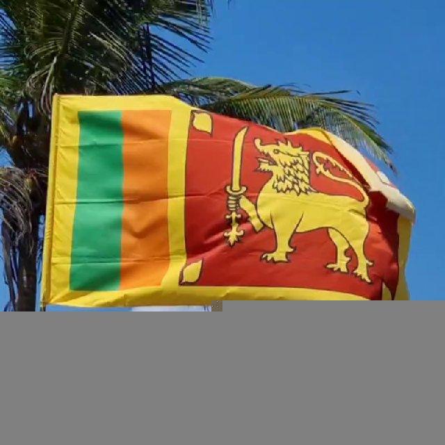 ШРИ-ЛАНКА ЭКСКУРСИИ. НОВОСТИ. 🌴Nashalanka_srilanka