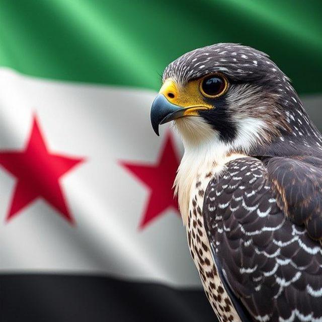 شــبكـة أخـبـار ســوريــا