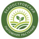 Новостной канал - Белоостровский питомник