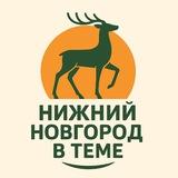 Нижний Новгород в теме