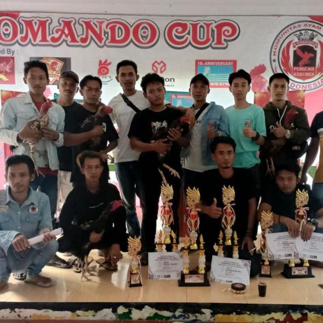 Video abaran ayam aduan