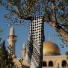 لـ تسنِيم الكاتِبة الصغِيرة𐙚