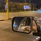 شِغاف