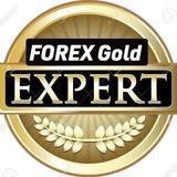 FOREX GOLD EXPERT