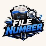 FILE NUMBER
