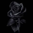 ❤"ضحكةّ__D7kA"❤