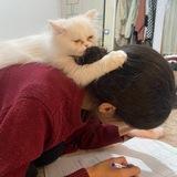 ماهی؛ غریبه‌ی کوچک