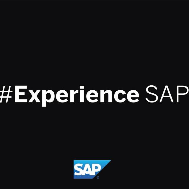 SAP EXPERIENCE JOB