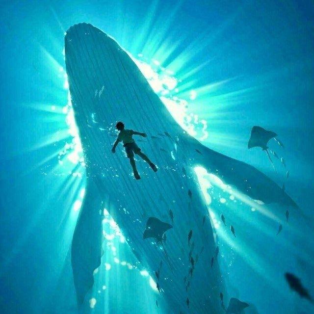 ابو علي قائد الحيتان🐋📊✨للأسهم الأمريكيه🇺🇸القناه العامـه