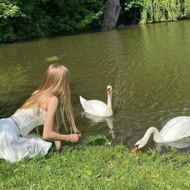 𝒟𝒜ℛ𝒴𝒜ོ