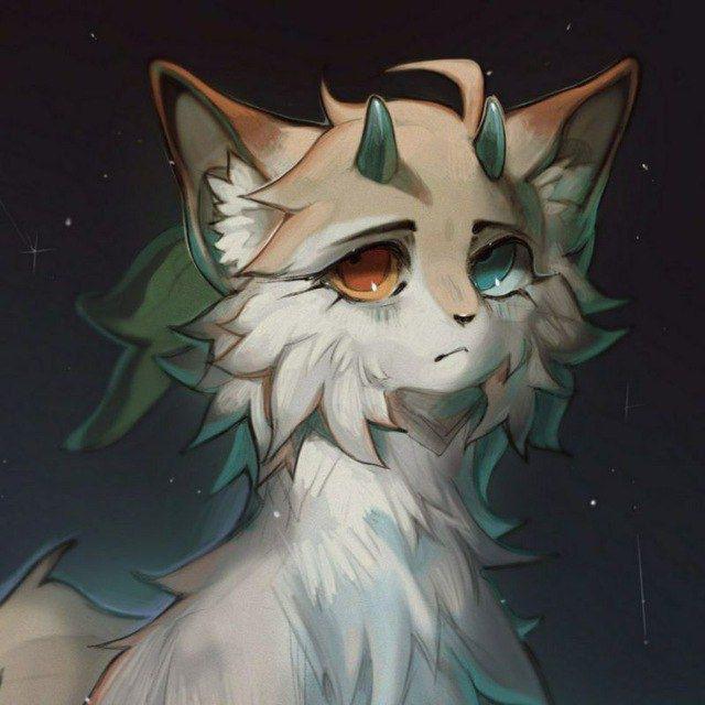 🪼- хвоинкп👀👀